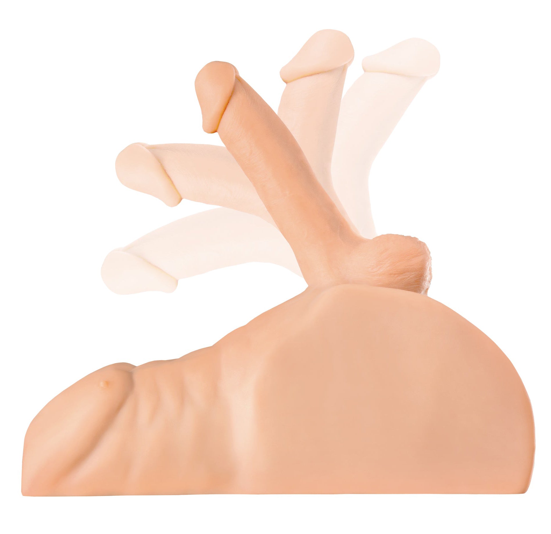 "Pdx Extreme Plus Perfect Ride - Light PDRD186-21"